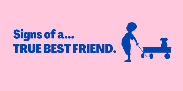 17 Signs Of A True Best Friend • Signs You Are...